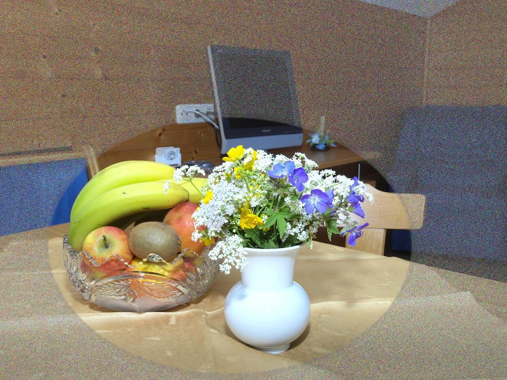 Ferienbauernhof Moosbrugger Apartment Schoppernau Ruang foto